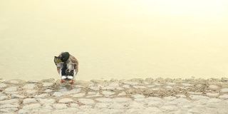 在阿联酋阿布扎比的池塘边，一只鸭子正在清洗自己