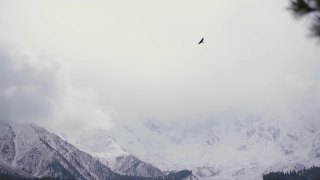 南迦帕尔巴特山的风景视频素材模板下载