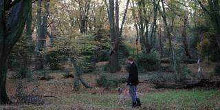 一个年轻人正在伦敦埃平森林的树林里散步，带着他的拉布拉多狗徒步旅行