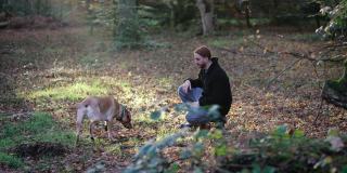 一个年轻人早晨带着他的拉布拉多狗在伦敦埃平森林的树林里散步