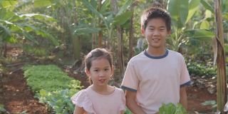 手持式慢动作健康的混合亚洲儿童微笑和假装吃蔬菜在家庭农场，家庭学校蒙特梭利，可持续生活，社会距离的概念