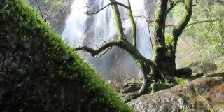 孔龙兰瀑布与苔藓