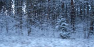 积雪的冬天道路在松树和桦树森林。风景和空旷的公路穿过冬天的森林。汽车在道路上超速行驶。侧窗视图的汽车在运动。旅游与旅游、旅行的概念。