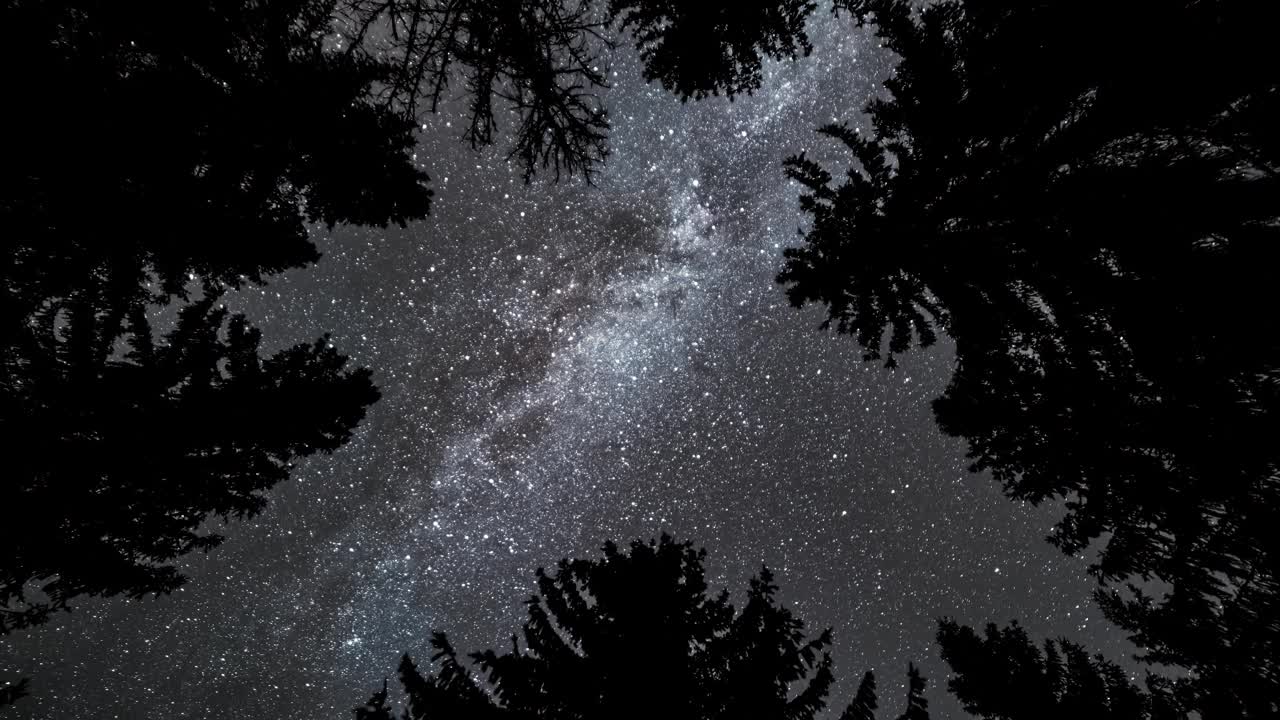 神奇美丽的银河光线在黑暗的森林自然，仰望宇宙天文学延时4K