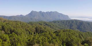 Doi Luang Chiang Dao，清迈，泰国有森林树木和绿色的山脉。自然景观背景。