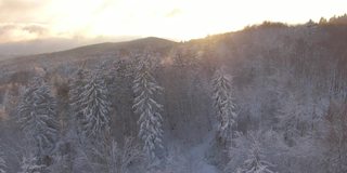 鸟瞰图:冬天的早晨，阳光照在覆盖着新雪的乡村风景上。