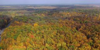 秋天的自然景观。高速公路与移动的汽车在美丽的秋天森林里。在五颜六色的树梢上飞行。摄像机向左移动。