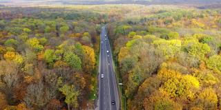 高速公路间秋日自然风光。道路与汽车在五颜六色的树林。秋天在树林里旅行。鸟瞰图。