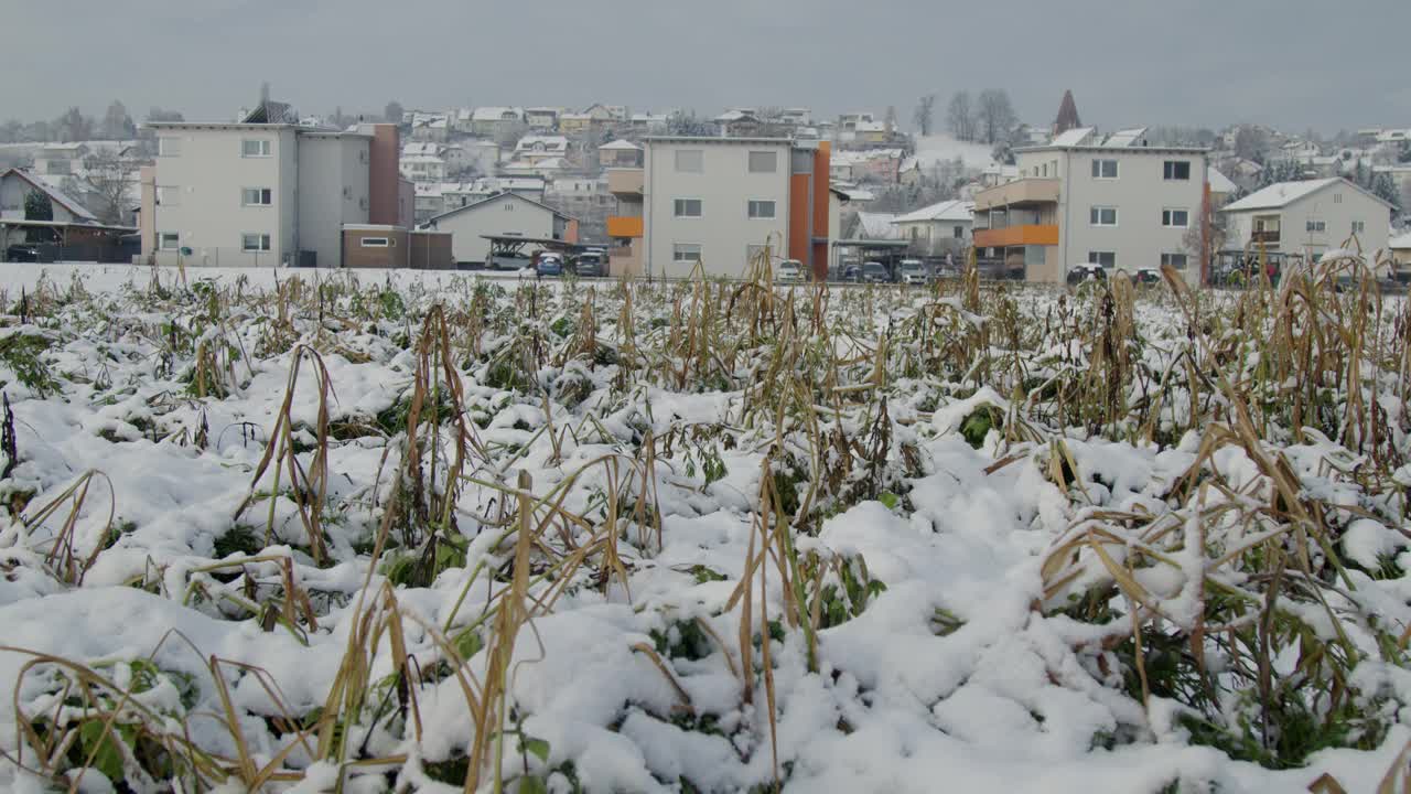 小城镇的住宅建筑和白雪覆盖的田野