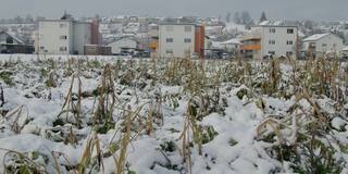 小城镇的住宅建筑和白雪覆盖的田野