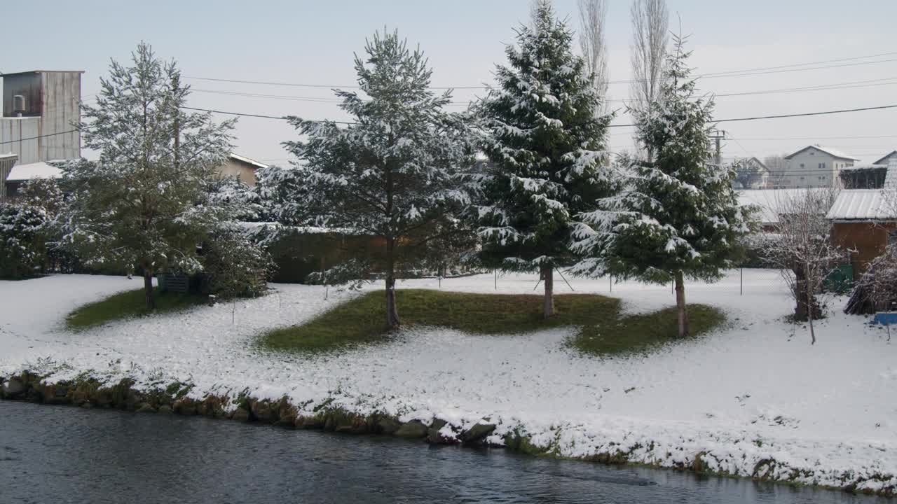 冬天河岸上积雪覆盖的火树