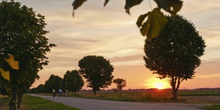 日落时分，一个家庭带着三个孩子在绿树成荫的乡间小路上骑单车