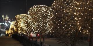 街道两旁的树上、圣诞花环灯和交通道路上的汽车上的夜间装饰照明