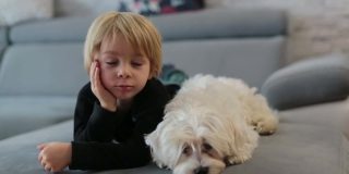 可爱的金发小孩，蹒跚学步的男孩，和他的宠物马耳他犬一起看电视