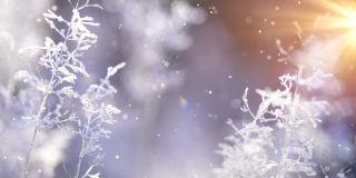 圣诞卡片(循环4k) -雪花与闪光的效果。