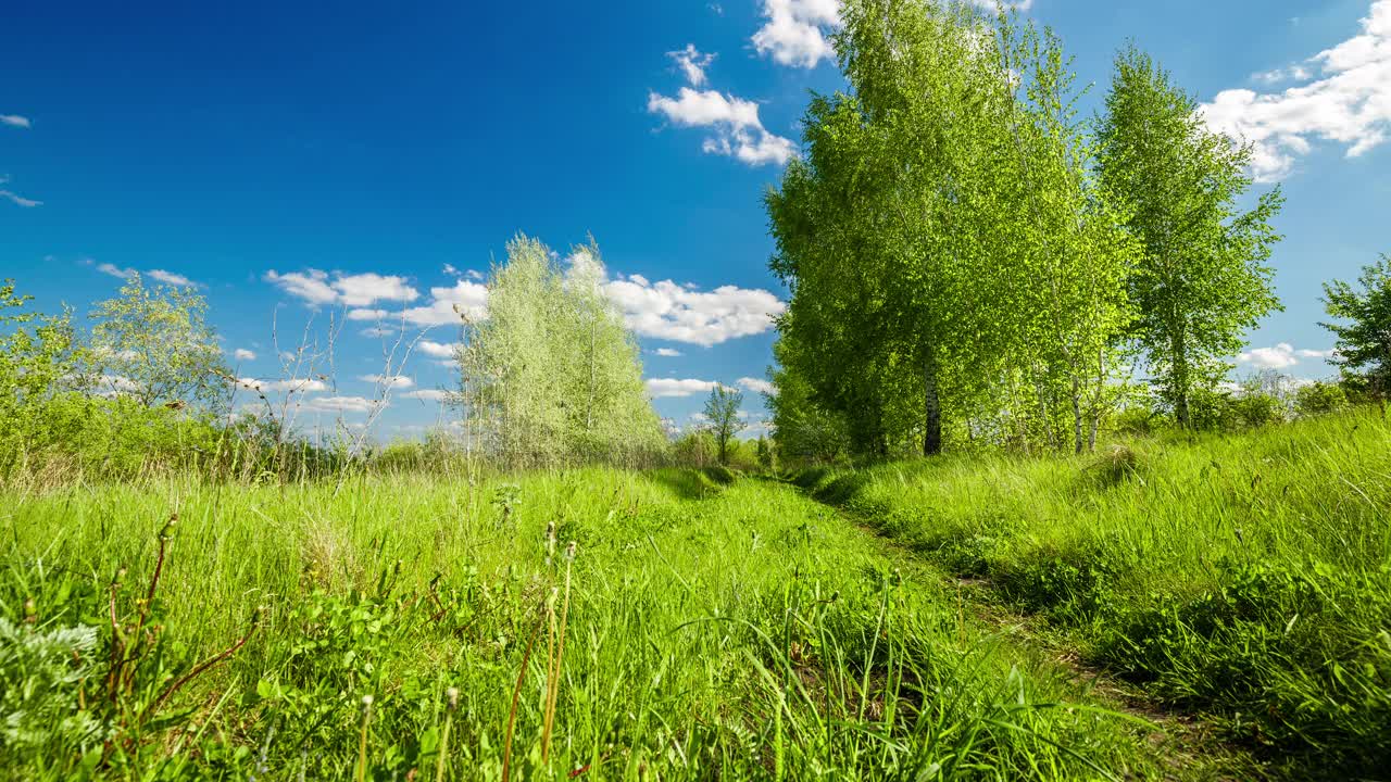 农村夏天的风景。蓝天白云，森林，道路穿过绿色的草地。自然景观荒野4k延时。郊外户外，放松天气，流畅运动，空间风景。