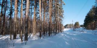 他的镜头沿着白雪覆盖的白桦林和高大的绿色松树的道路移动，这在道路上投下了阴影。