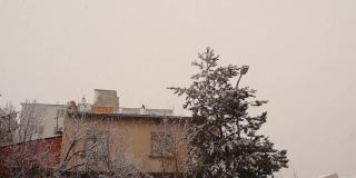 土耳其埃尔祖鲁姆下大雪。埃尔祖鲁姆的温度可达-50°C。美丽的自然风光下雪，冬季旅游。冰,冻结,冻结