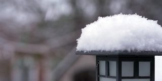 后院下雪了