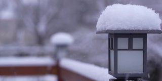 后院下雪了