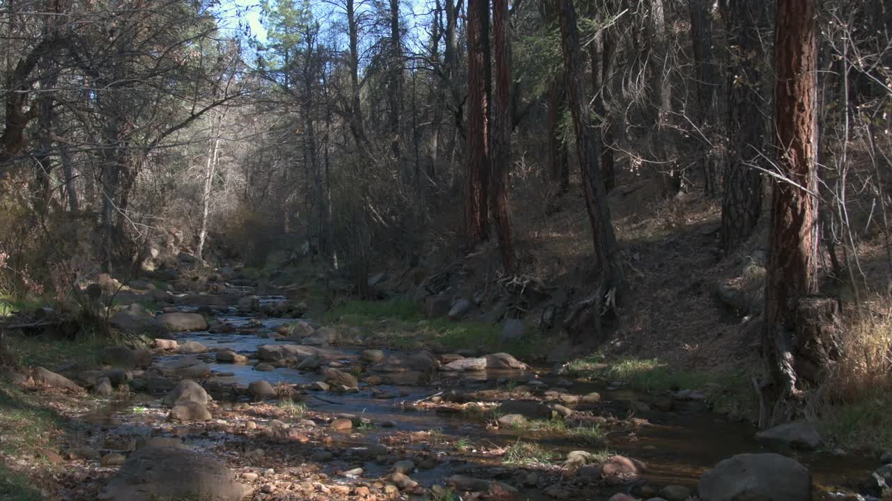 Tonto Creek，亚利桑那州，宁静的景象