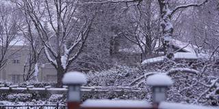 后院下雪了