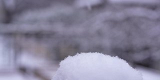 后院下雪了