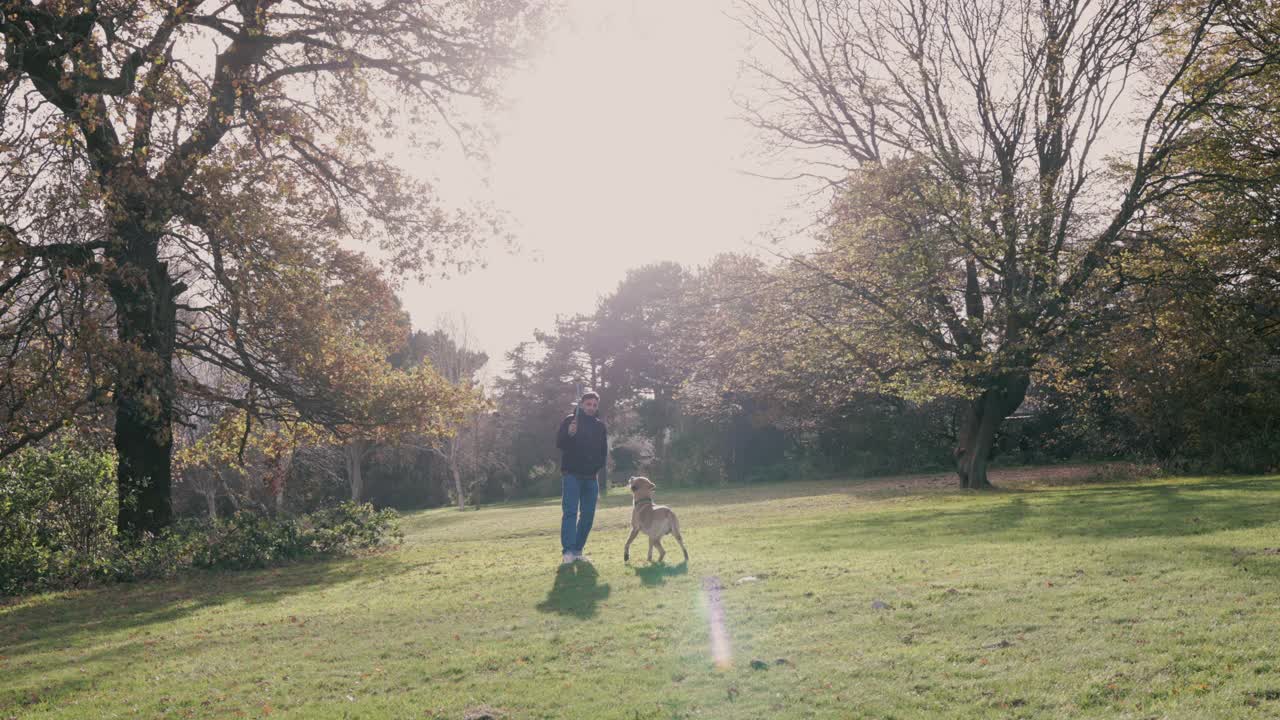 一个年轻人正在伦敦埃平森林的树林里散步，带着他的拉布拉多狗徒步旅行