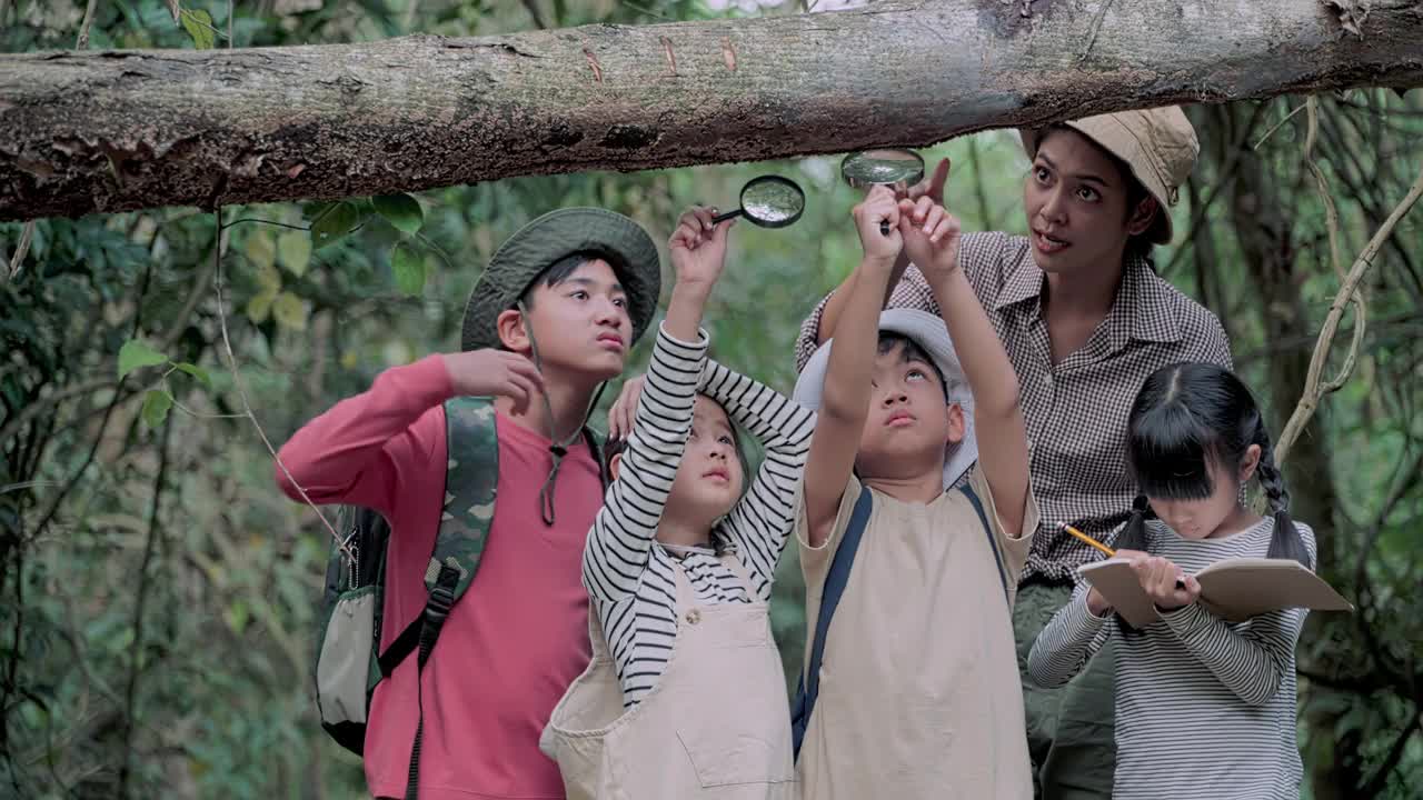 老师和6-12岁的男女学生组织了热带森林的实地考察。
