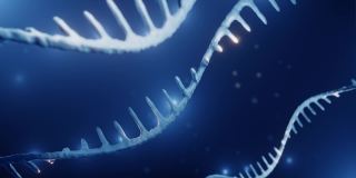 RNA,表观遗传学概念