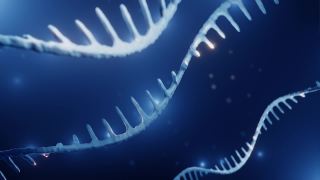 RNA,表观遗传学概念视频素材模板下载