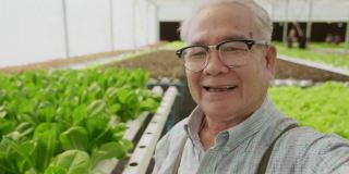 年长男性农场小企业主直播谈话观众追随者，亚洲女性走脱口秀新鲜蔬菜视频电话智能手机与兴奋的pov镜头