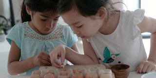 混合儿童在重复使用蛋壳中种植幼苗，蒙特梭利家庭教育，可持续的生活理念