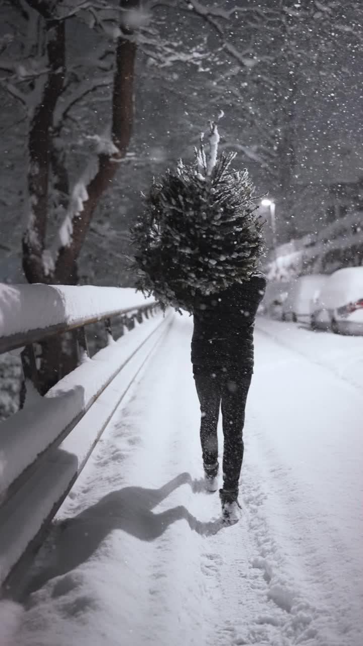 在大雪中扛着圣诞树回家