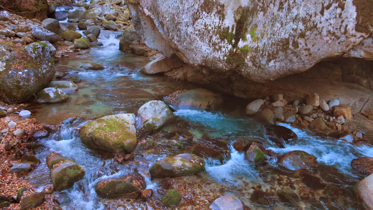 清澈的水流和落叶