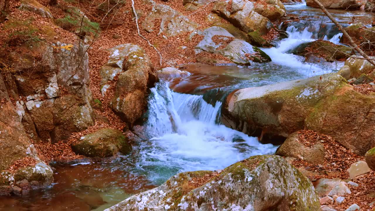 清澈的水流和落叶