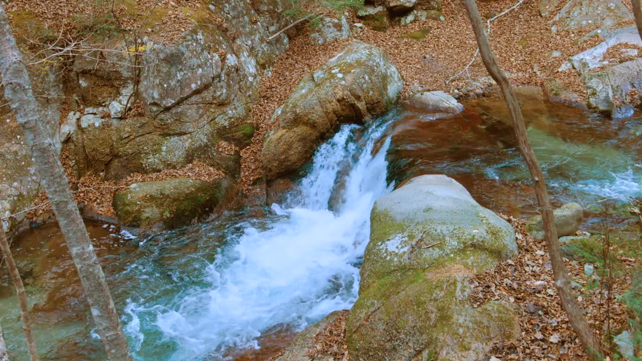 清澈的水流和落叶