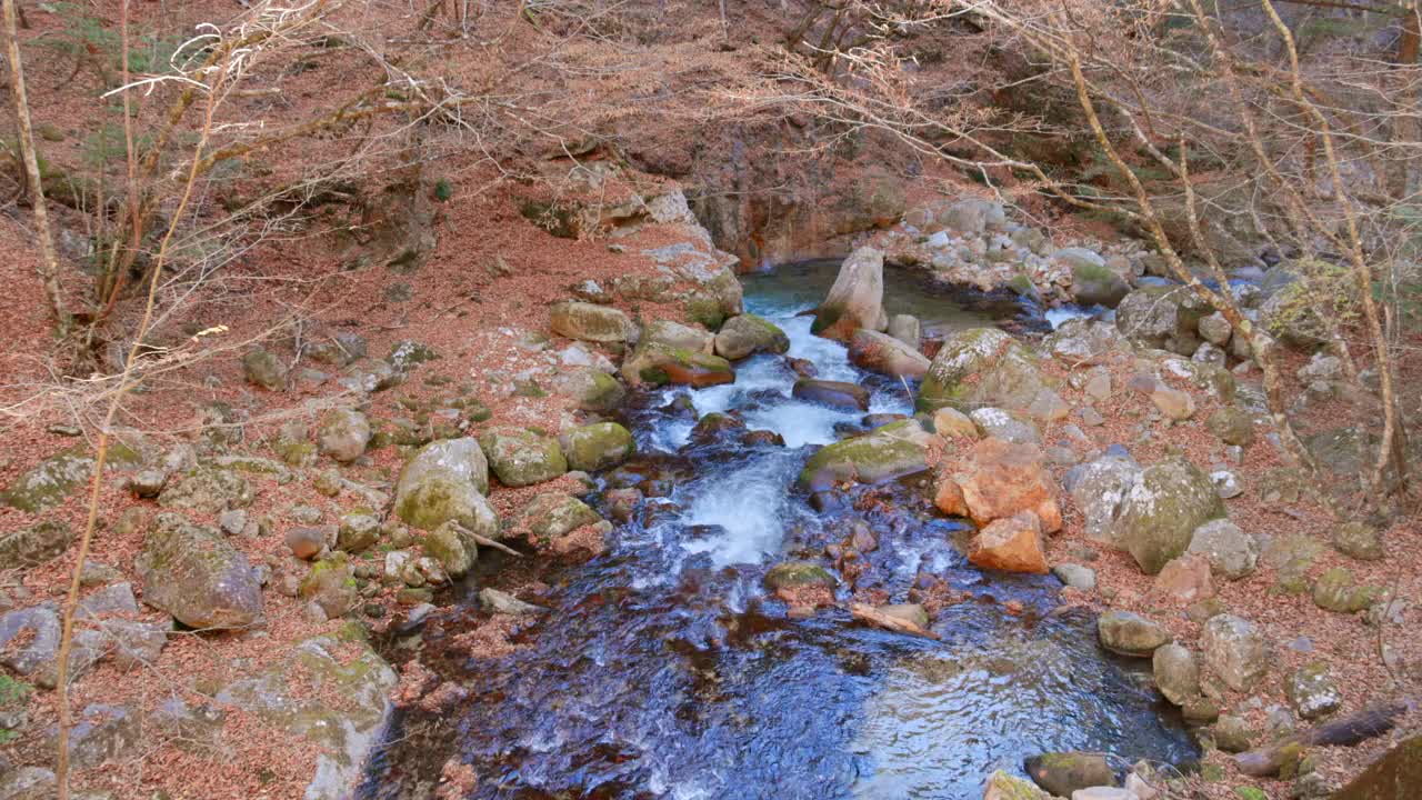 清澈的水流和落叶