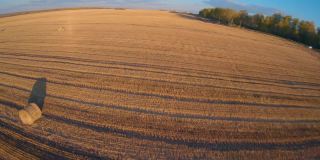 FPV无人机在秋天飞过一片麦田。干草堆,高速