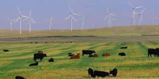 阿尔伯塔的风力涡轮机可再生能源