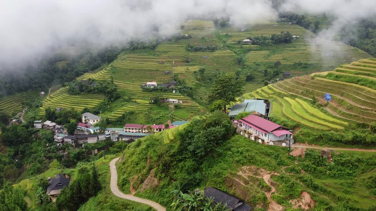 鸟瞰图在绿色的森林和丛林与棕榈树在亚洲，树木和稻田在山上