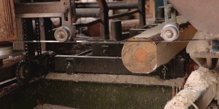 在锯木厂加工和锯木。在动力机器上锯木头。锯木厂的生产过程。