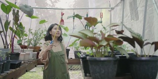 在苗圃里给植物浇水的年轻女子。