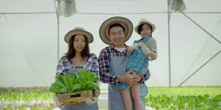 亚洲蔬菜花园家庭正在收集有机绿色橡木蔬菜，他们是水培在温室中生长。