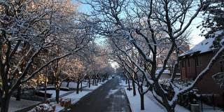 雪小镇秋天的看法，暴风雪的雪睡在云杉在霜冻的一个冬天的一天