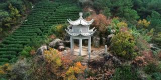 鸟瞰图的白色宝塔被绿色的山丘和茶梯田，中国。