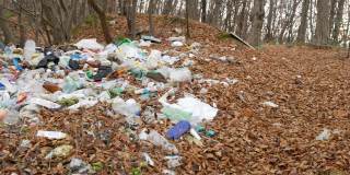 垃圾就在森林里的落叶上。环境污染。纯洁的本性。
