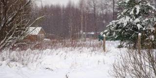 森林里下大雪。美丽的冬季风景的雪和模糊的树木的背景。轻轻的飘落的雪花。树枝下的雪。糟糕的下雪天气，寒冷的天气。