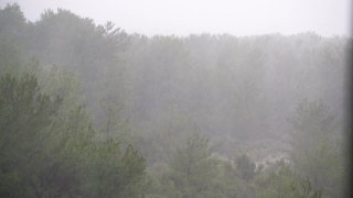 土耳其安塔利亚秋天的大雨。从Konyaalti区松树林的窗口望去视频素材模板下载