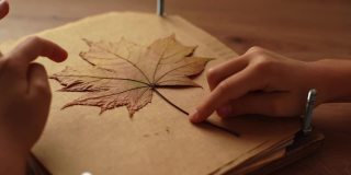 无法辨认的小女孩的双手把枯萎的秋天枫叶放在羊皮纸上，形成一个贴花坐在桌子上。